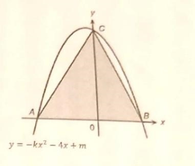 P.3 5. The figure shows the graph of y= -kx² - 4x + m. It cuts the x-axis at two points-example-1