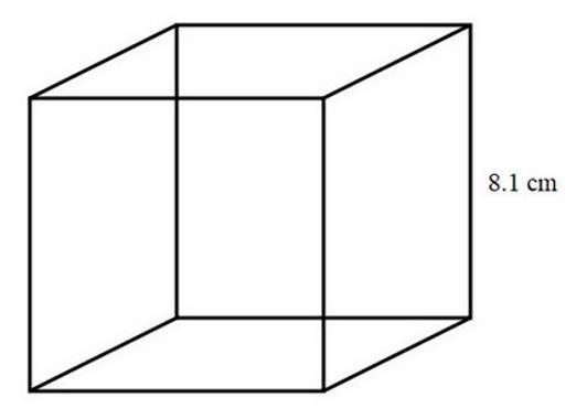 Calculate the volume of the cube shown below. Round your answer to the nearest tenth-example-1