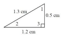 If sin A = 0.3846, then which angle of this right triangle is angle A? angle 1 angle-example-1