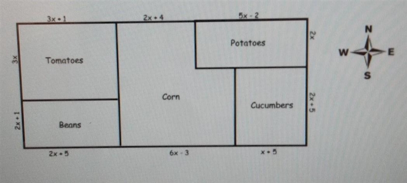 Write a simplified expression that represents the length of each side of the field-example-1