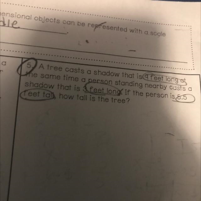 A tree casts you say shadow that is 9 feet long at the same time a person standing-example-1