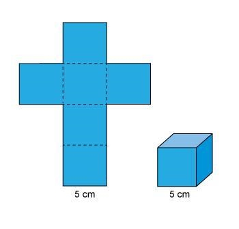 A cube and a net of the cube are shown. The edge length of the cube is labeled 5 centimeters-example-1