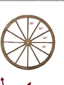 1. What is the sum of the four 30 degrees angles in the wheel? Show your work.-example-1