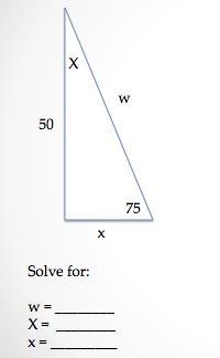 Round to the nearest tenth.Round to the nearest tenth.w = 51.8X = 25 degreesx = 13.4w-example-1