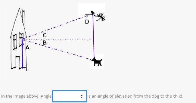 N the image above, Angle is an angle of elevation from the dog to the child.-example-1