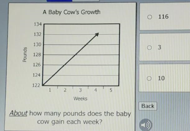 A baby cows growth. About how many pounds does the baby cow gain each week?-example-1