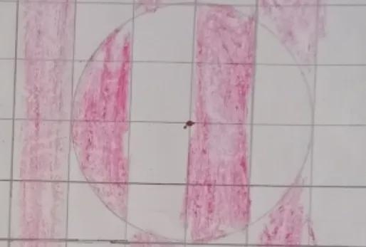 What is the approximate area of the circle? Use 3.141 for pi and do not round your-example-1