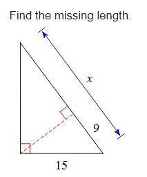 Find the missing length.-example-1