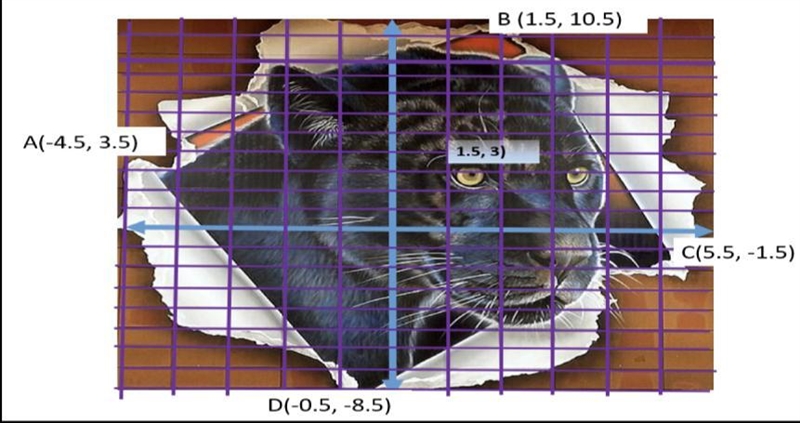 Write an equation of the linear function so that the eye of the panther (1.5, 3) passes-example-1