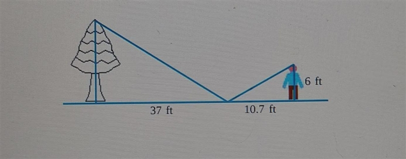 Brian wants to measure the height of a tree. He sights the top of the tree, using-example-1