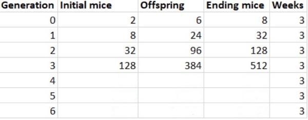 Figure out how many offspring there would be for the fifth and sixth generations using-example-2