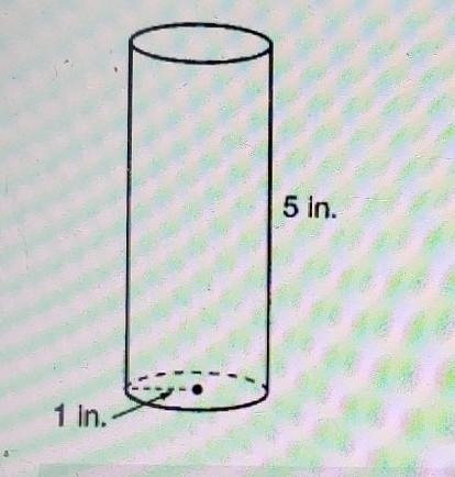 A cylindrical can of seltzer water has a height of 5 inches and a radius of 1 inch-example-1