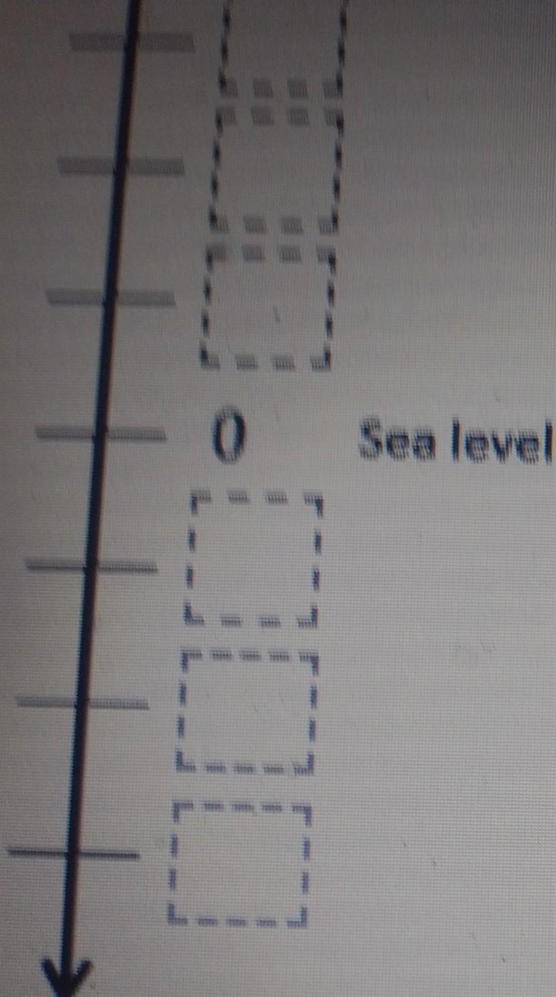 A turtle is swimming 3 feet below sea level. A seagull is flying 9 feet above sea-example-1