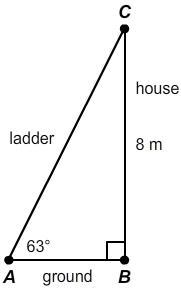 Please Help I'm Confused...Tessa has leaned a ladder against the side of her house-example-1