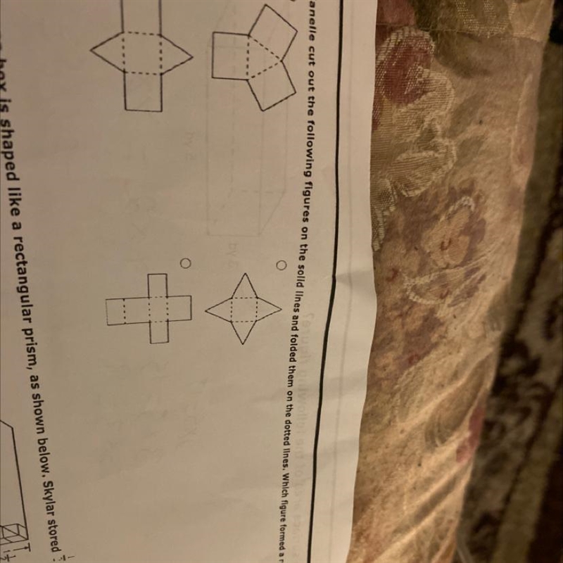 Jen L cut out the following figures on the solid lines and folded them on the third-example-1