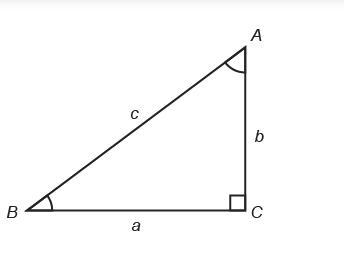 A contractor drew this diagram to find the area of a right-triangular shaped patio-example-1