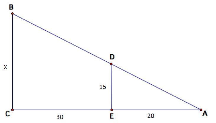 Solve for the unknown length.-example-1