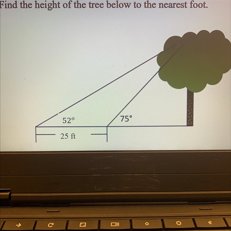 Find the height of the tree below to the nearest foot.-example-1