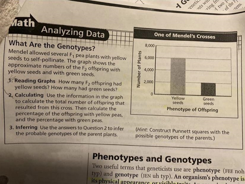 Based on the picture below what would the genotypes of the parent plants be? Use the-example-1