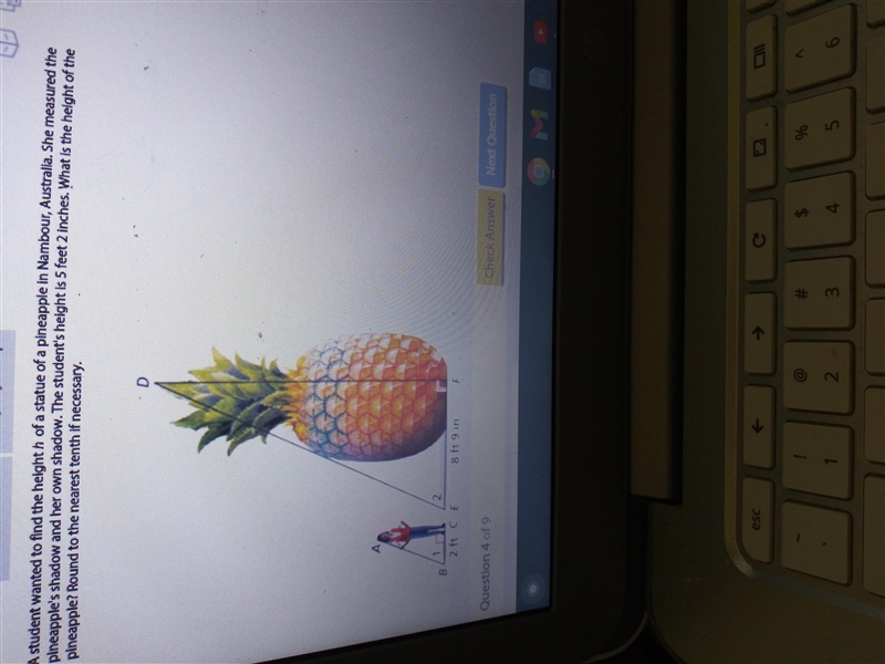 A student wanted to find the heighth of a statue of a pineapple in Nambour, Australia-example-1