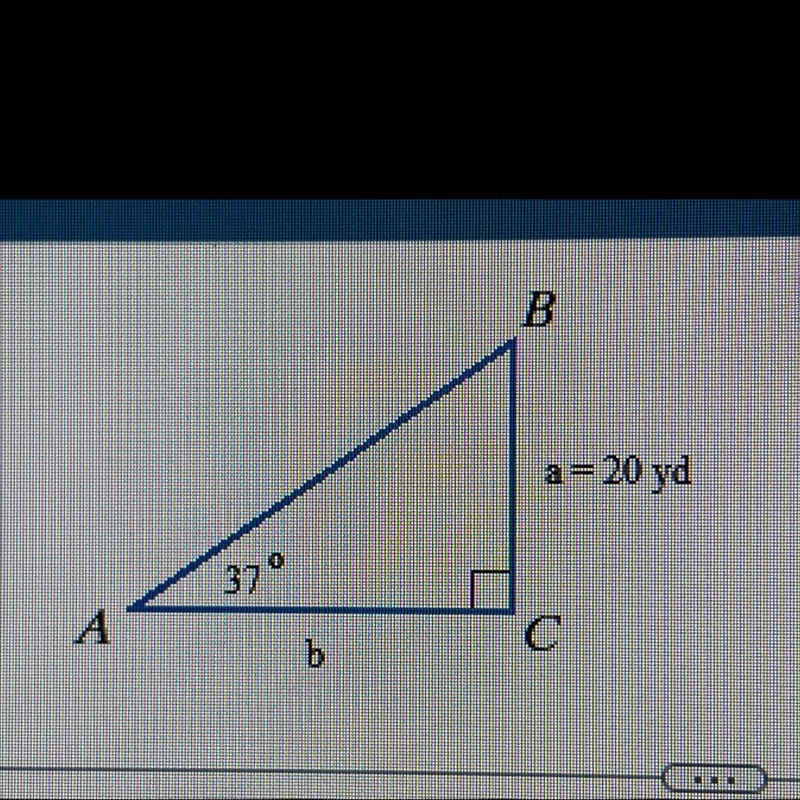 Find the measure of side b. b = _ yd-example-1