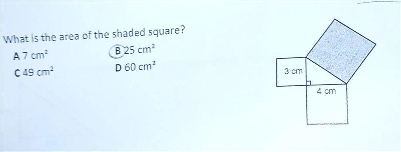 What is the area of the shaded square? A 7 cm² C 49 cm² B 25 cm² D 60 cm² 3 cm 4 cm-example-1