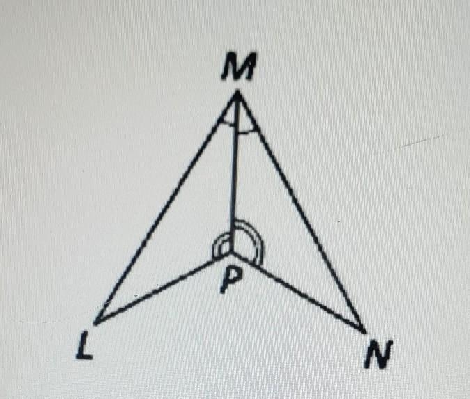 What congruence rule does this follow? What is the congruence statement? the congruence-example-1