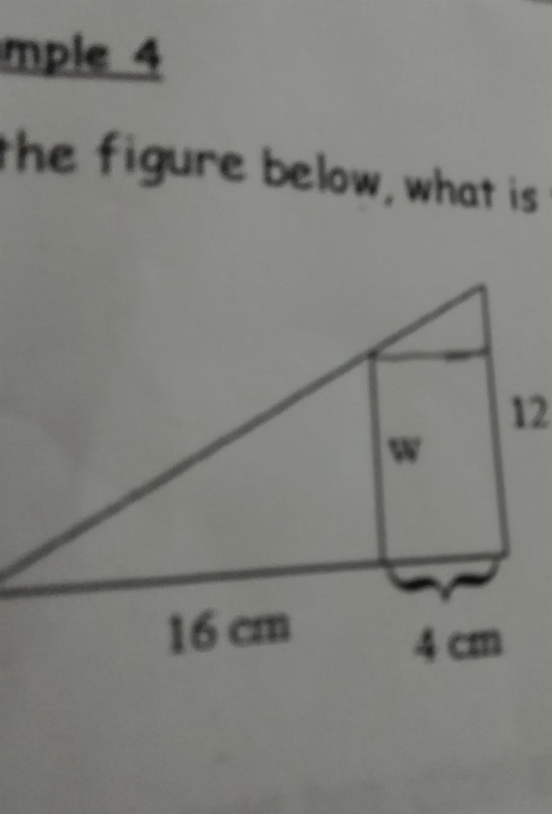 In the figure below, what is the length of W? Also, the 12 is 12 cm.-example-1