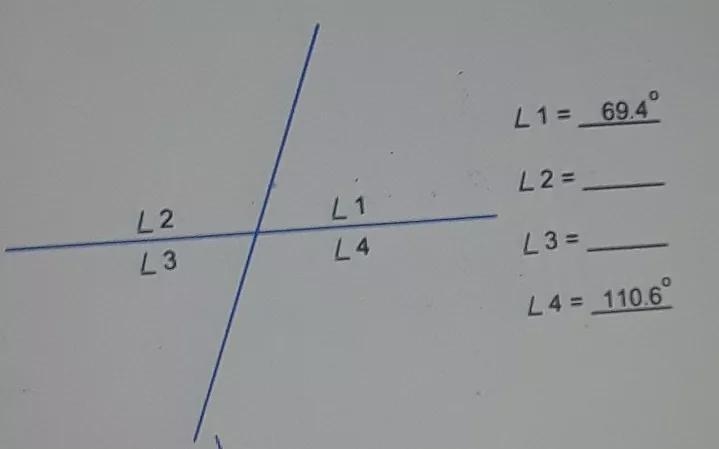 How do I solve the missing verticals angles for L2 and L3?-example-1