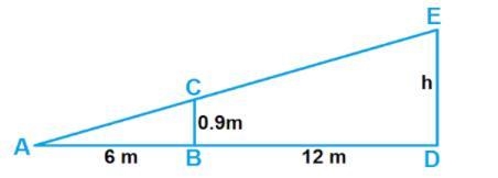 Determine the value of h-example-1