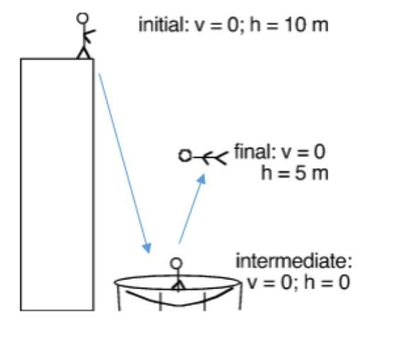 1.Use the diagram to the right to answer the following questions: Person has a mass-example-1