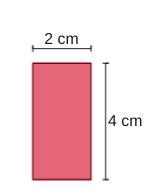 The blueprint for Zahra’s new office measures `4` cm long and `2` cm wide. The scale-example-1