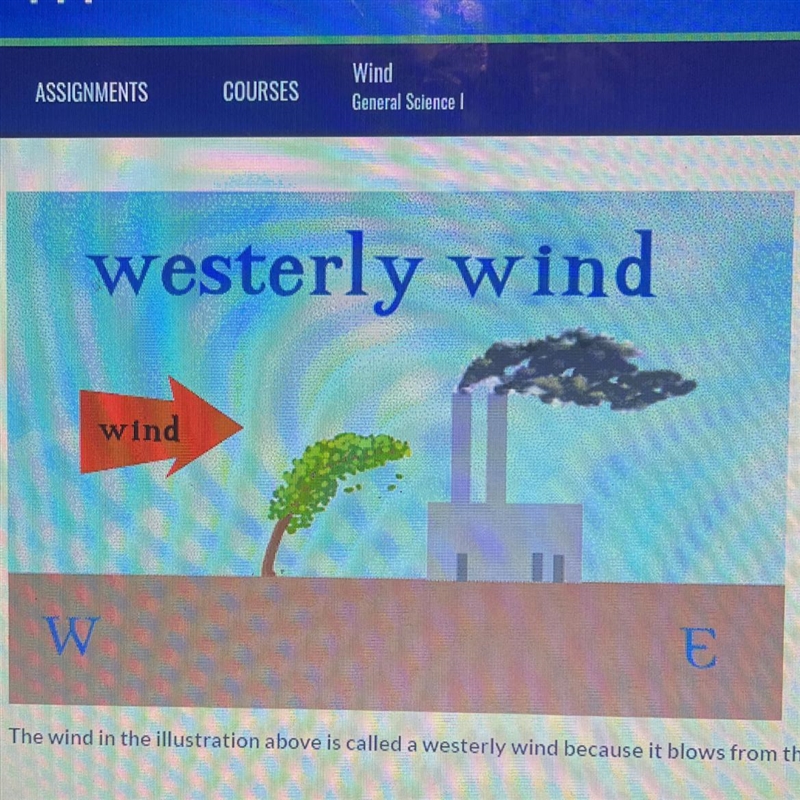 The wind in the illustration above is called a westerly wind because it blows from-example-1