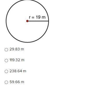 What is the circumference of the circle? (use 3.14 for pi) (WORTH 30 POINTS)-example-1