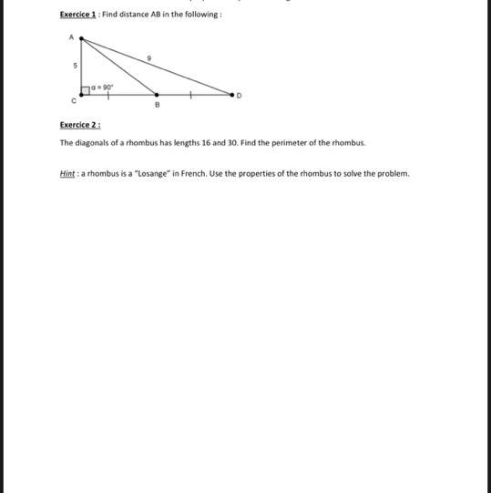 Pythagor triangle exercice pls-example-1