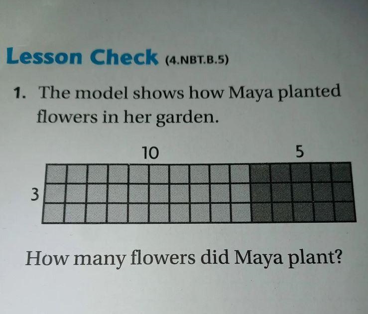 The model shows that how Maya planted Flowers in her garden 10 5 3 How many flowers-example-1