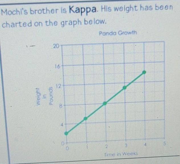 mochi the panda cub has been measured and weighed each week since she was born.weeks-example-1