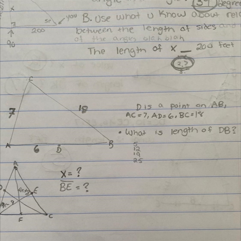 What is the length of DB?A. 5B. 12C. 19D. 25-example-1