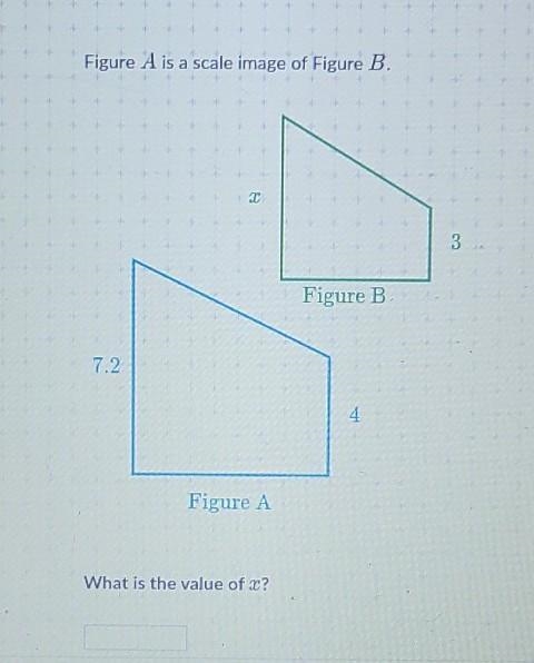 Figure A is a scale image of Figure B. What is the value of x?​-example-1