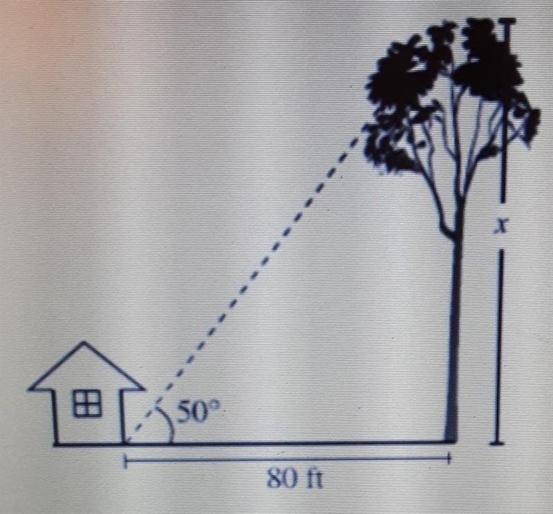 in the figure below, when the sun angle of elevation is 50°, the tree casts a shadow-example-1