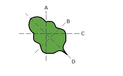 Which line is a line of symmetry for the figure attached? A. Line B B. Line A C. Line-example-1