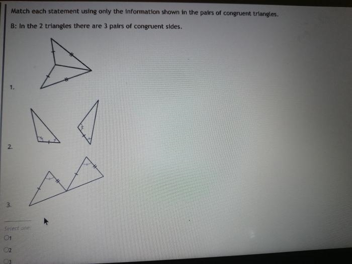 Match each statement using only the information shown in the pairs of congruent triangles-example-1