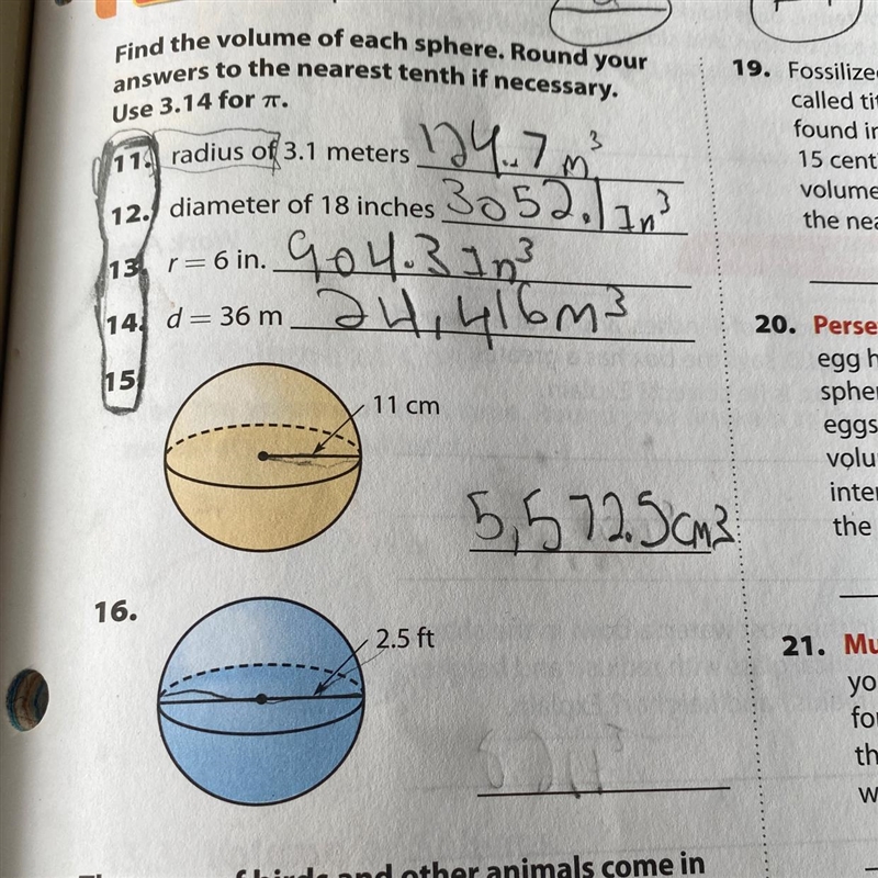 I’m struggling on question number 16, me and friend are getting VERY different answers-example-1