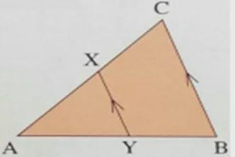 If AB=18cm,AC=14cm,BC=8cm and XY=4cm how do i find AX and AY?-example-1