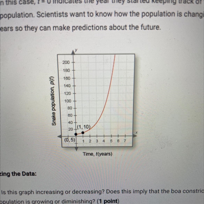 Use this function to estimate the boa constrictor population in 2,3,4 years-example-1