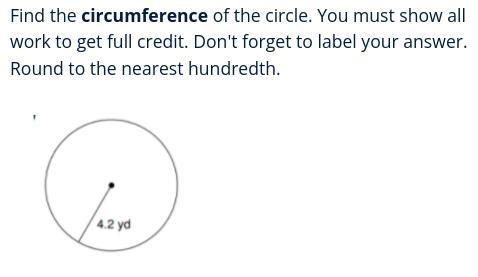 Find the circumference of the circle. You must show all work to get full credit. Don-example-1