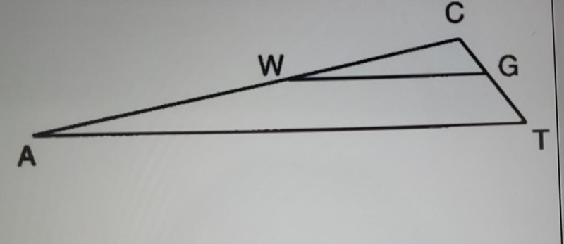 8. Find the length of TG in the diagram below given that WG || AT, TG = x, GC = 2, CW-example-1