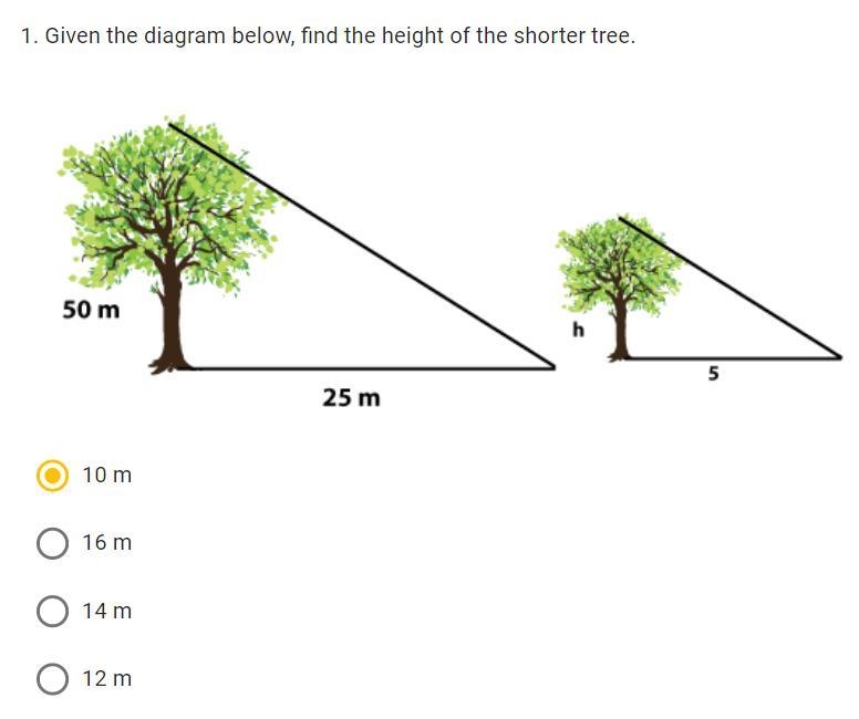 Please help with these four questions with explanations ty.-example-1