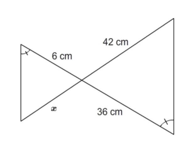 What is the value of x?-example-1