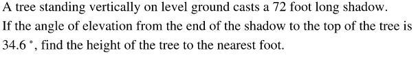 Find the height of the tree to the nearest foot.-example-1